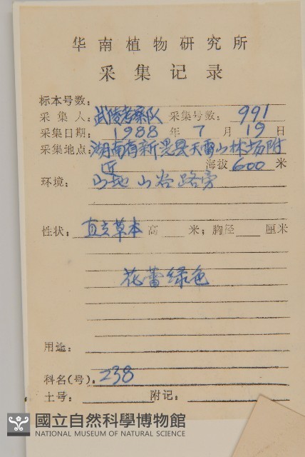 杓兒菜藏品圖，第2張