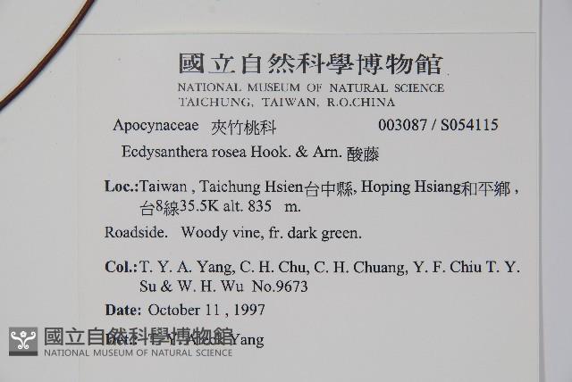 酸藤藏品圖，第2張