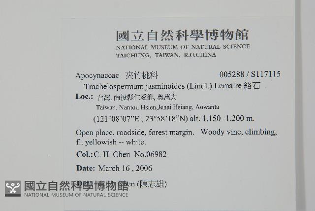 絡石藏品圖，第2張