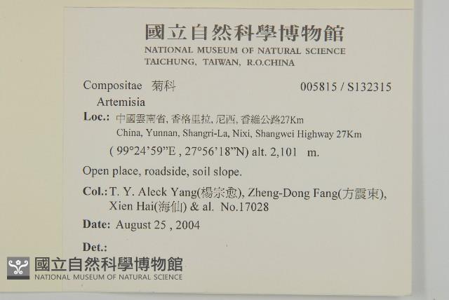 登錄號:S132315藏品圖，第2張