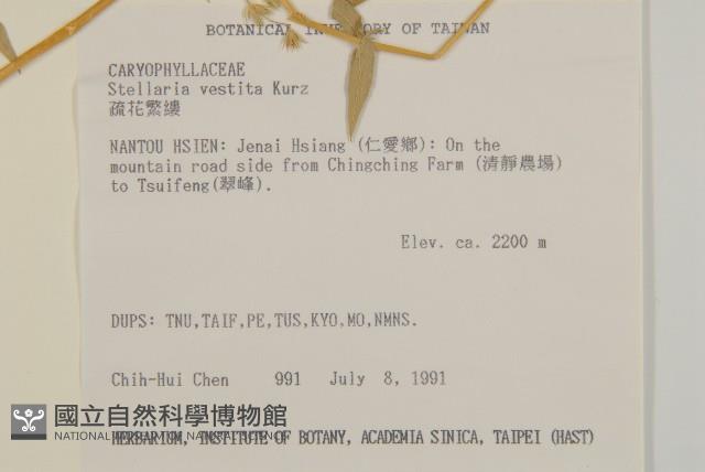 Accession Number:S032315 Collection Image, Figure 2, Total 2 Figures