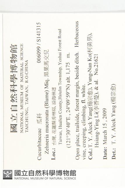 黑果馬交兒藏品圖，第2張