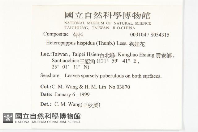 狗娃花藏品圖，第2張