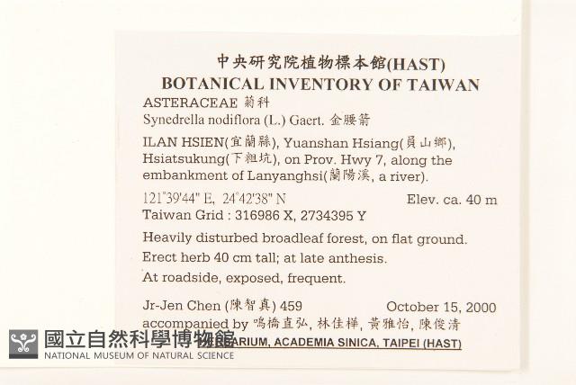 金腰箭藏品圖，第2張