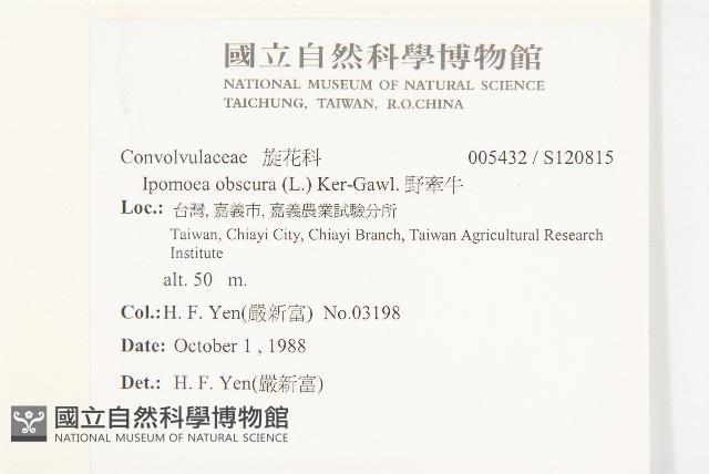 野牽牛藏品圖，第2張