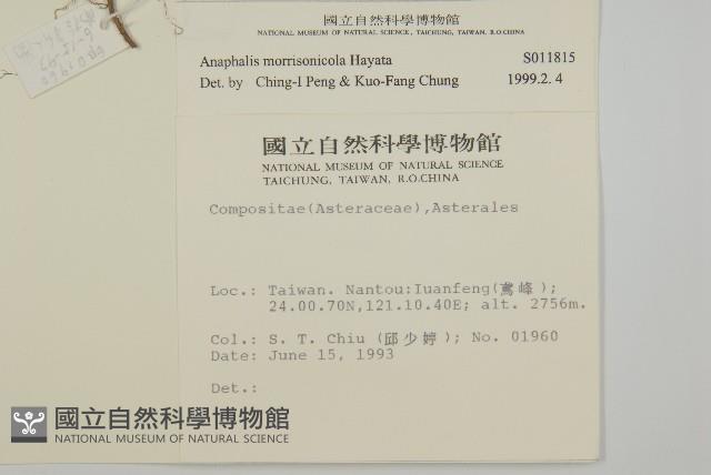 玉山抱莖籟簫藏品圖，第2張