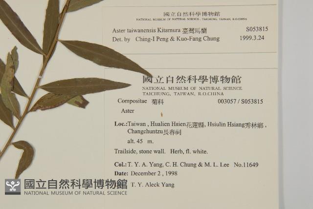 臺灣馬蘭藏品圖，第2張