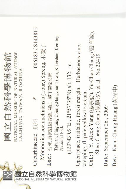 木鱉子藏品圖，第2張