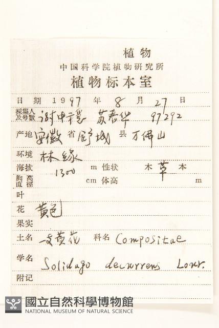 一枝黃花藏品圖，第2張