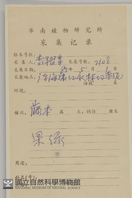 南華南蛇藤，青江藤藏品圖，第2張