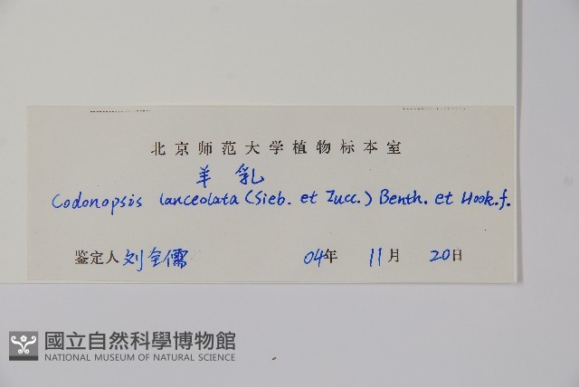 羊乳、四葉參藏品圖，第2張