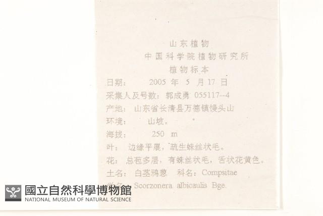 芼管草藏品圖，第2張