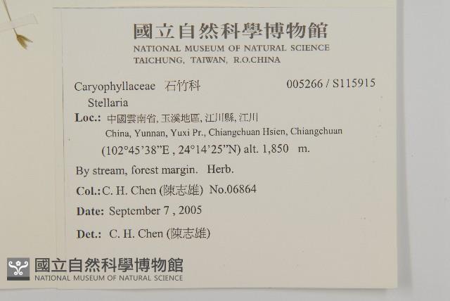 登錄號:S115915藏品圖，第2張