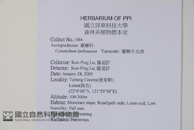 蘭嶼牛皮消、蘭嶼白薇藏品圖，第2張