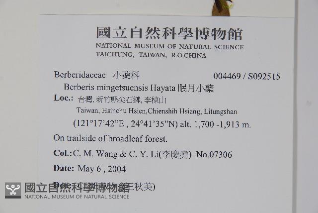 南湖小蘗藏品圖，第2張