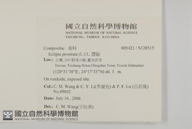 鱧腸藏品圖，第2張