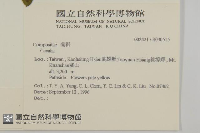 黃山蟹甲草藏品圖，第2張