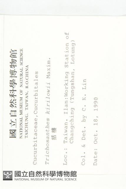 王瓜藏品圖，第2張