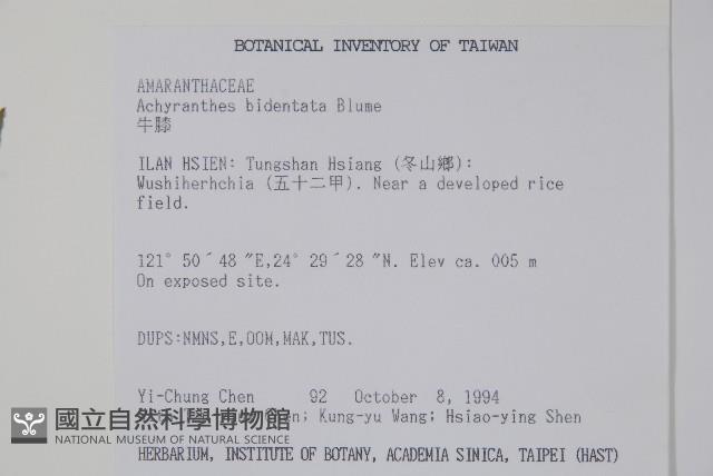 牛膝藏品圖，第2張