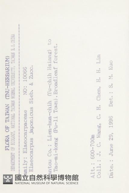 薯豆藏品圖，第2張