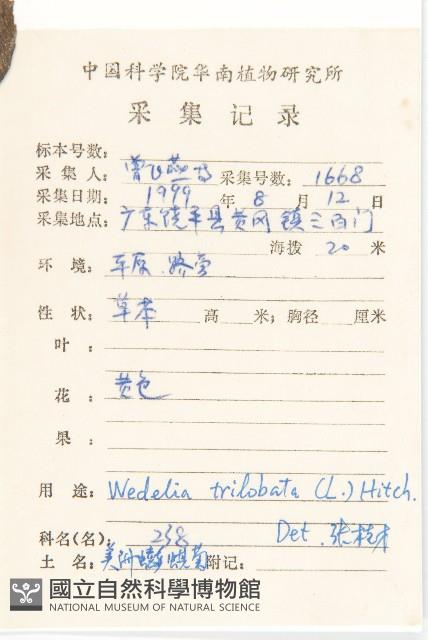 南美蟛蜞菊、三裂葉蟛蜞菊藏品圖，第2張