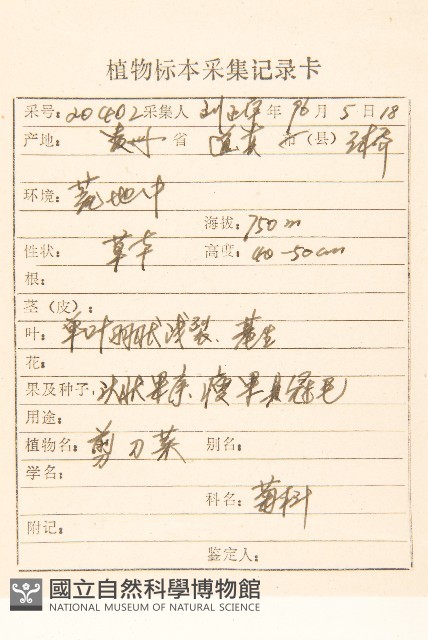 細葉剪刀股藏品圖，第2張