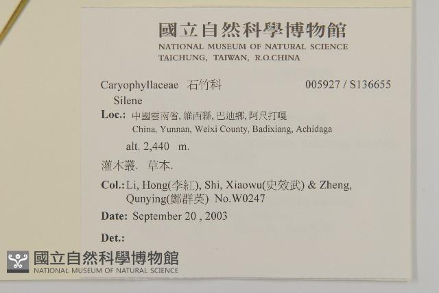 登錄號:S136655藏品圖，第2張