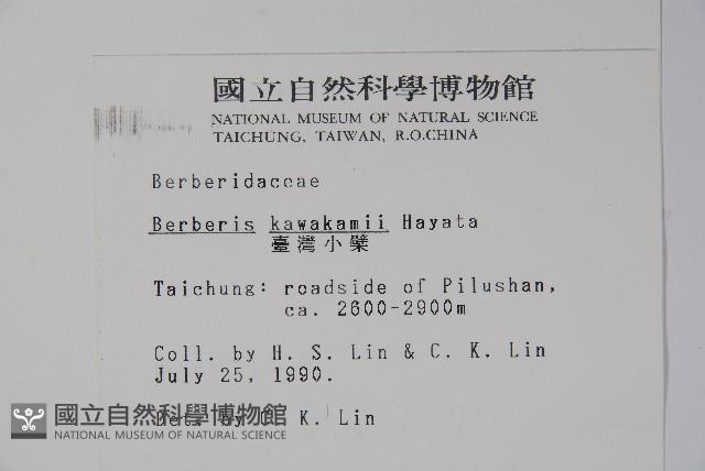 臺灣小蘗藏品圖，第2張