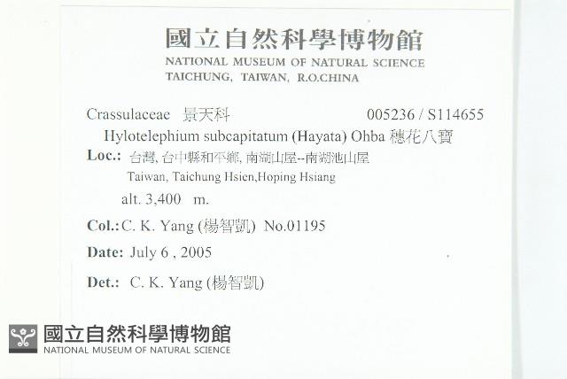 穗花八寶藏品圖，第2張