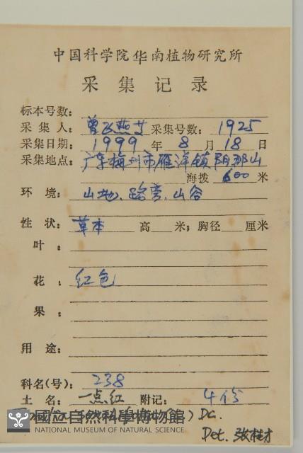 紫背草藏品圖，第2張