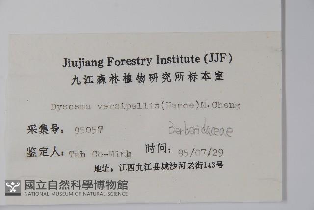 八角蓮藏品圖，第2張