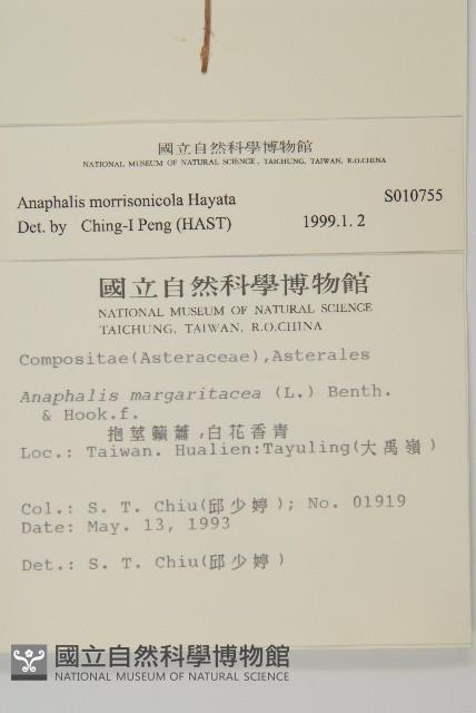 玉山抱莖籟簫藏品圖，第2張