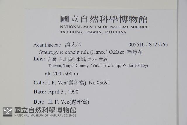 哈哼花藏品圖，第2張