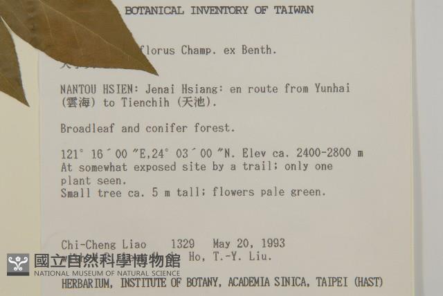 大丁黃藏品圖，第2張