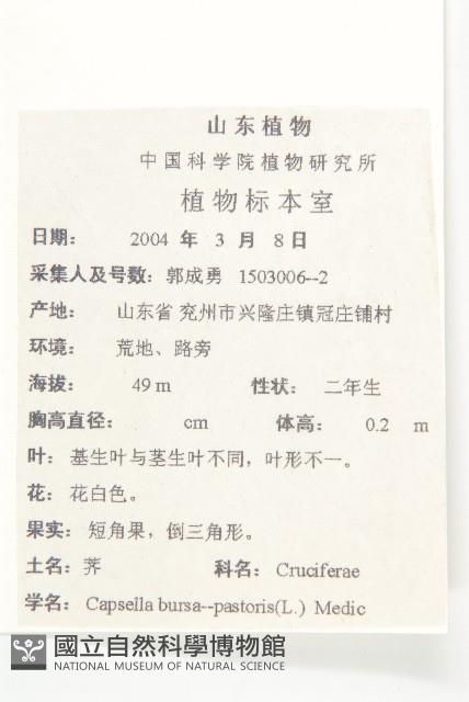 薺藏品圖，第2張
