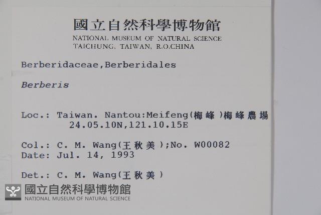 日本小檗藏品圖，第2張