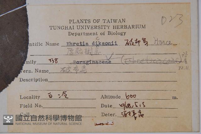 破布烏藏品圖，第2張