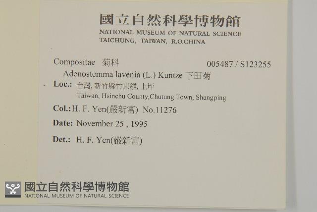 下田菊藏品圖，第2張