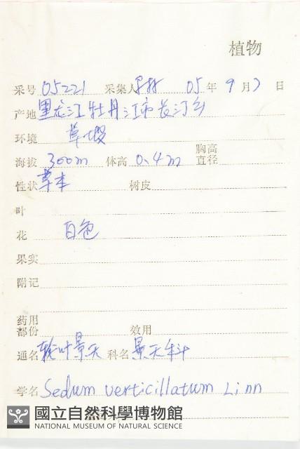 輪葉景天藏品圖，第2張