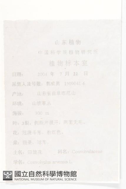 田旋花藏品圖，第2張