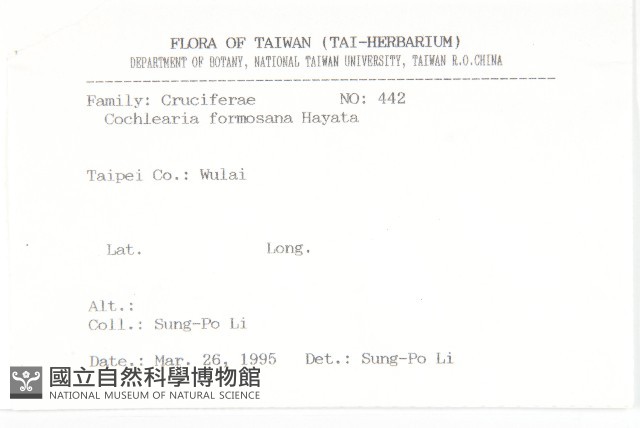 臺灣假山葵藏品圖，第2張