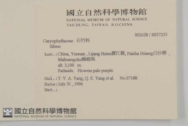 登錄號:S037255藏品圖，第2張