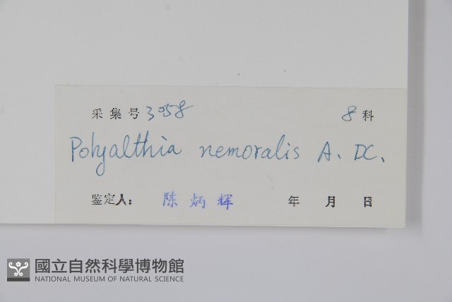 登錄號:S030455藏品圖，第2張