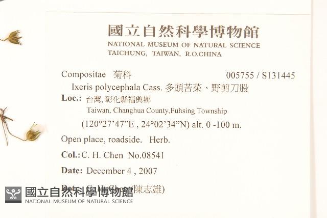 Buttercup Winterhazel Collection Image, Figure 2, Total 2 Figures