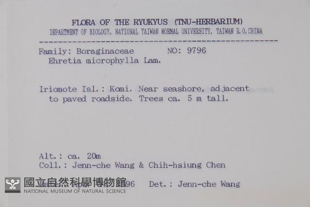 滿福木藏品圖，第2張