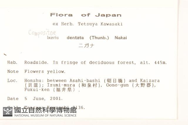 齒緣苦實藏品圖，第2張