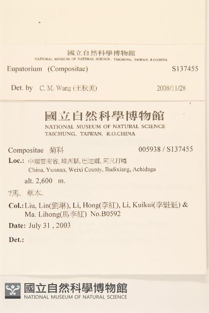 登錄號:S137455藏品圖，第2張