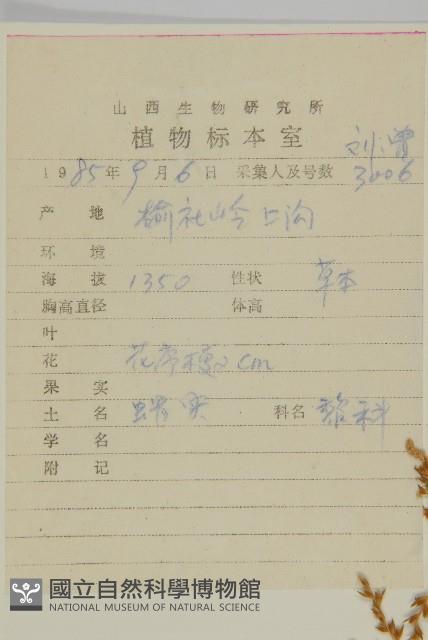 軸藜藏品圖，第2張