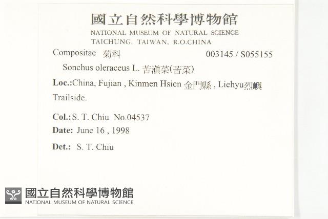 苦滇菜、苦菜藏品圖，第2張