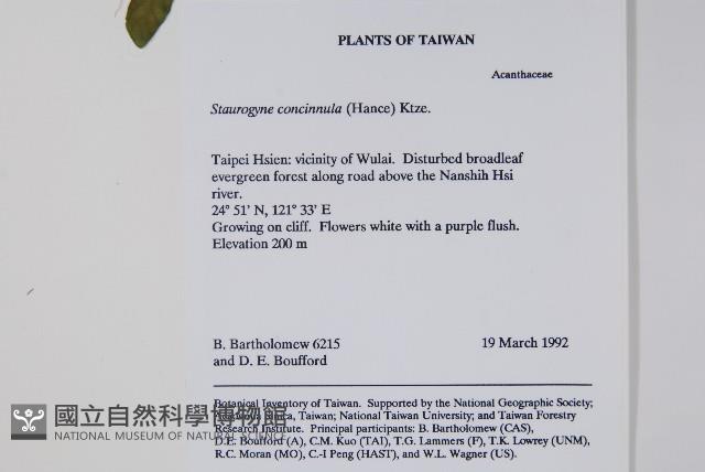 哈哼花藏品圖，第2張